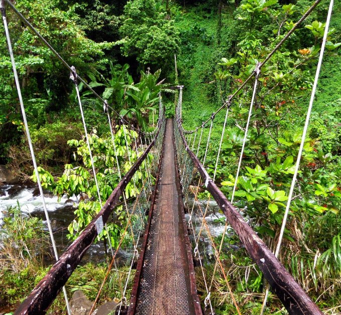 Lavena Coastal Walk, Taveuni Island, Fiji